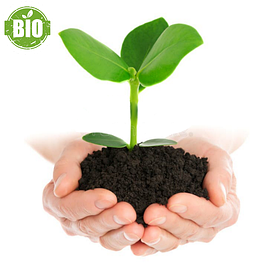 Біодобрива