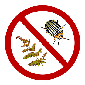 Інсекто-фунгіциди 