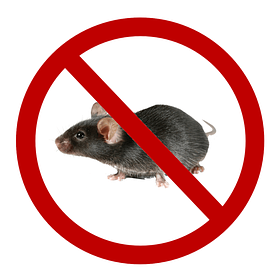 Родентициди (засоби від гризунів)