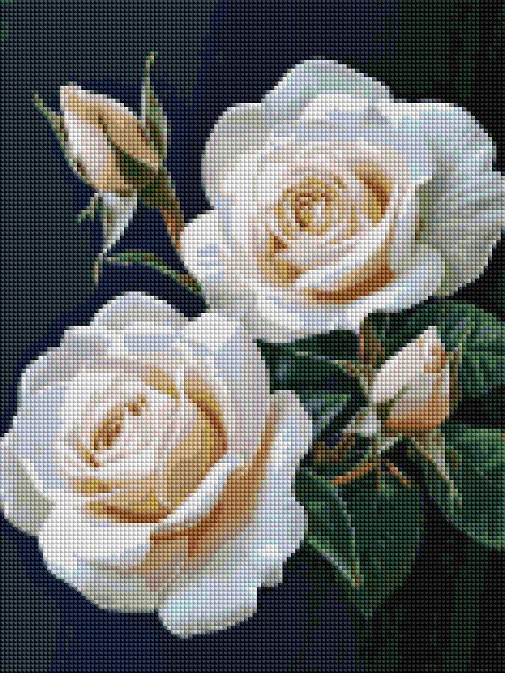 Алмазна мозаїка вишивка 30х40 см Brushme Троянди на чорному фоні DRBS1248, фото 1