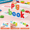 Навчальна орфографічна гра Udhay Toys Treehole - алфавіт, букви та слова для дітей 3+, розвиваюча гра, фото 6