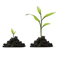 СТИМУЛЯТОРИ І РЕГУЛЯТОРИ РОСТУ