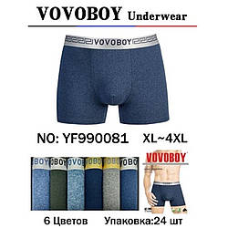 Чоловічі труси з бамбуковим волокном Норма Розміри: 48,50,52,54 (11007)