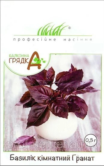 Базилік кімнатний (фіолетовий) Гранат 0,3 г Професійне насіння, фото 1