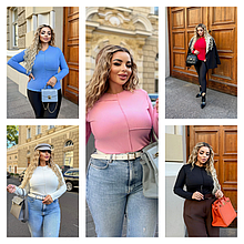 Лонг з довгим рукавом однотоний