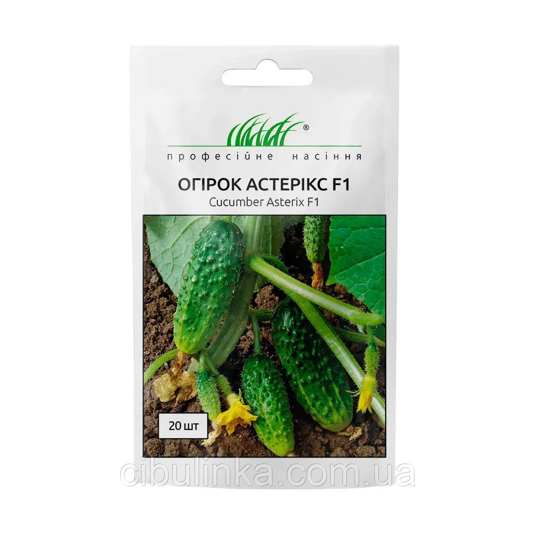 Огірок Астерікс F1 Bejo Zaden/Нідерланди 20 шт, фото 1
