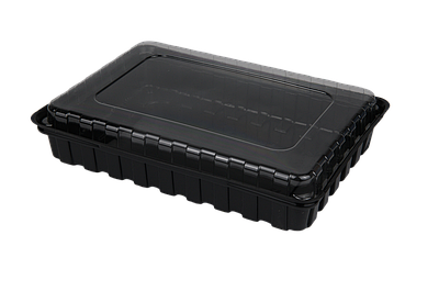 Упаковка для суші 270*190*60мм, пластикова упаковка для суші 30 шт/уп