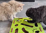 Інтерактивна іграшка для котів "Fun Cat Box", фото 7