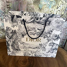 Пакет Dior білий із візерунком Toile de Jouy тигри та ліс, золота напис, чорні мотузкові ручки, преміальний картонний пакет для, фото 4