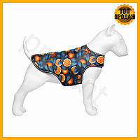Курточка-накидка для собак WAUDOG Clothes Апельсини L для собак зимовий одяг із застібкою-липучкою