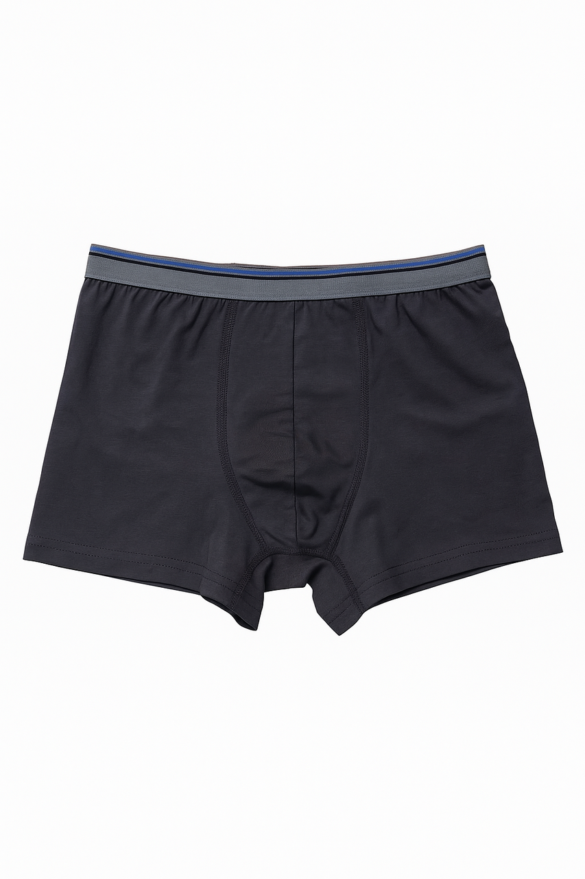 Труси-шорти для хлопчиків Мальта Д479-24 122 см. Сірий (2901000256474), фото 1