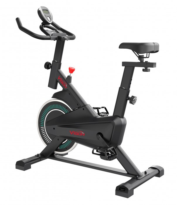 Велотренажер Vigor Спінбайк D200Y
