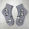 Шкарпетки жіночі 6 пар махрові «Панди» розмір 36-40 арт. 317.6, фото 7