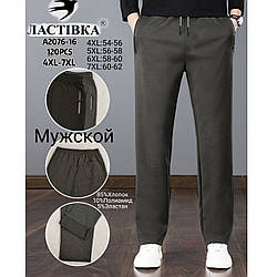 Чоловічі спортивні демісезонні штани "Фабричний Китай" (2 Кольори в Упаковці) Розміри: 54,56,58,60 (11027)