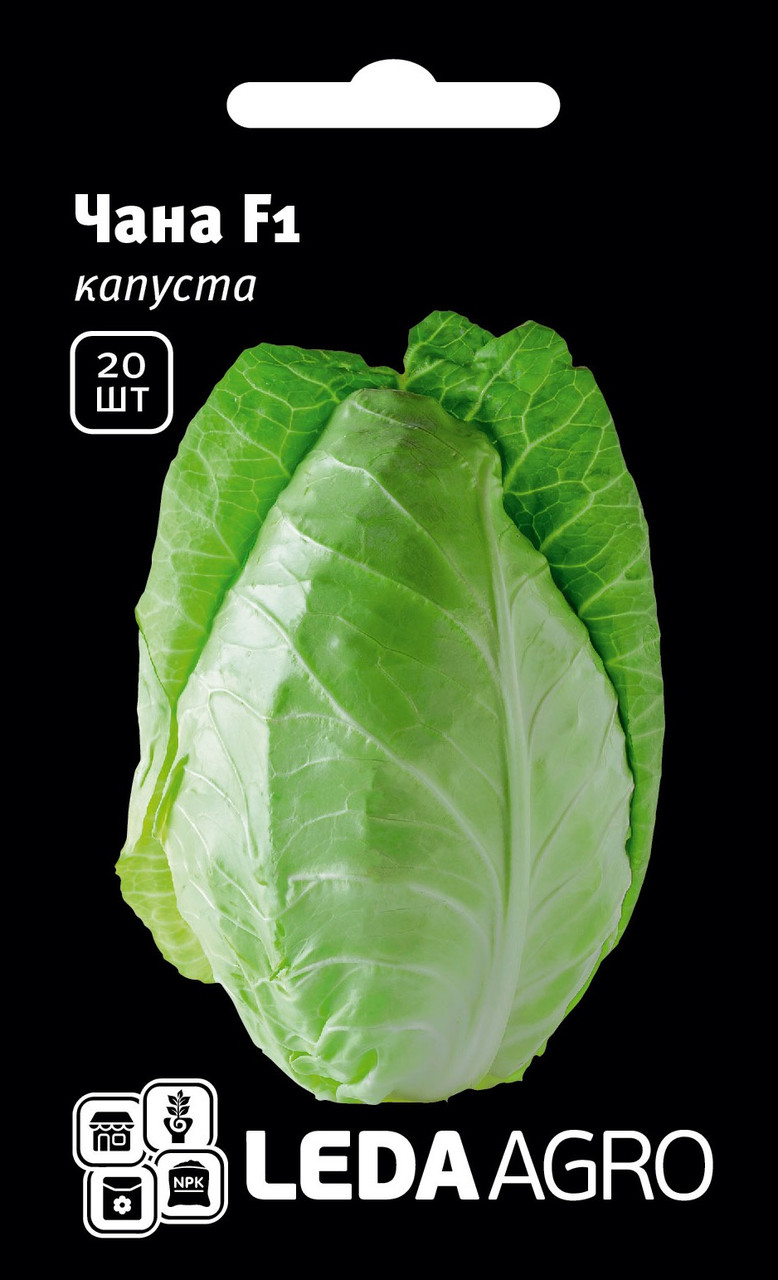 Насіння Капусти Чана F1 20 шт (Leda Agro), ранній гібрид стійкий до хвороб, фото 1