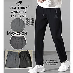 Чоловічі штани "Фабричний Китай" (2 кольори в Упаковці) Розміри: 54,56,58,60 (11028)