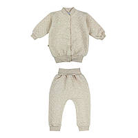 Комплект дитячий для хлопчика (кофта + штани) GABBI KT-25-3 Бежевий на зріст 74 (14634)