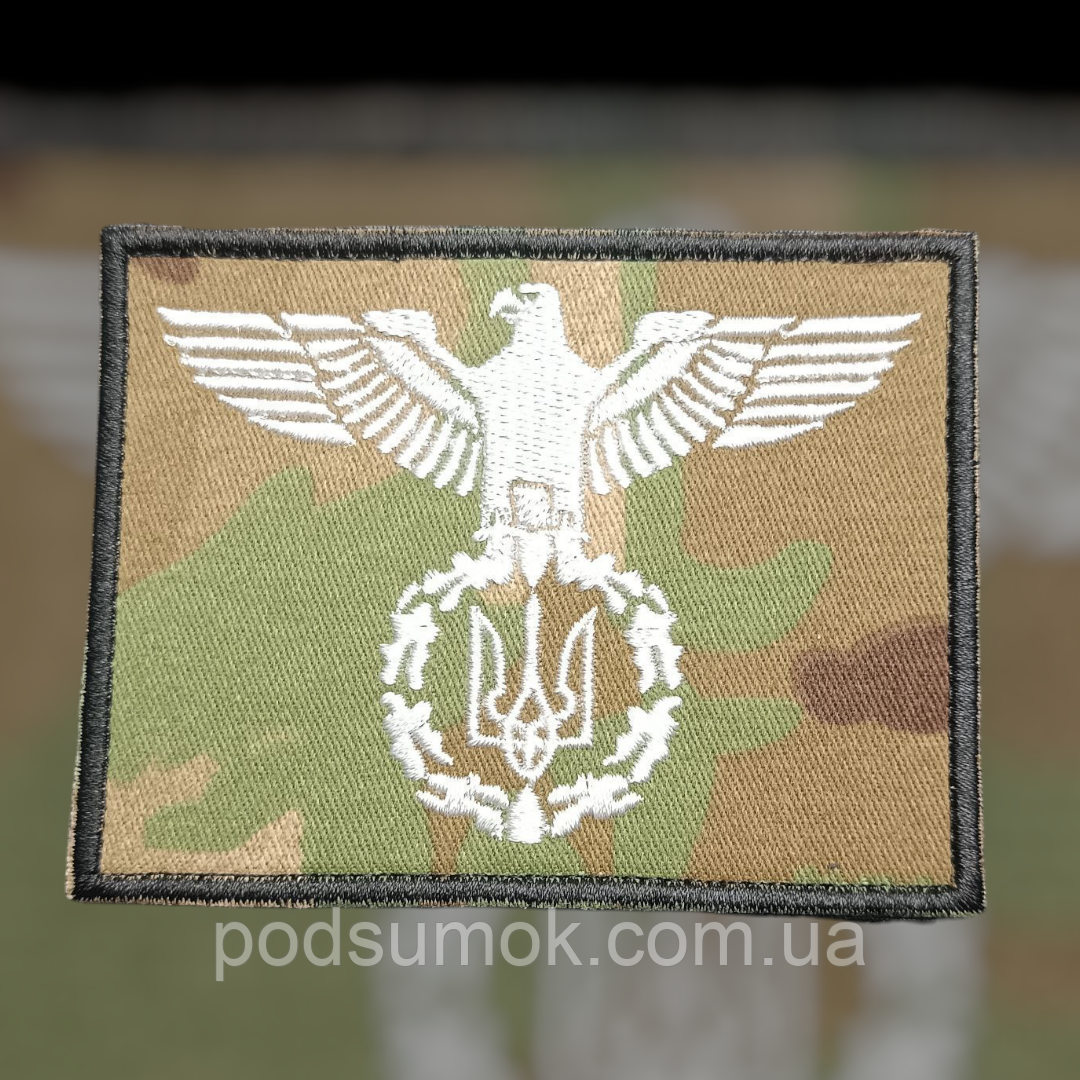 Шеврон 123-229 на липучці для велкро патч, фото 1