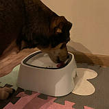 Миски для води 500 мл набір 2 шт для домашніх тварин Purlov 24342, фото 8