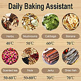 Сушарка для грибів, фруктів та овочів 5 лотків до 10 літрів Ruhhy 25929 400 Вт, фото 5