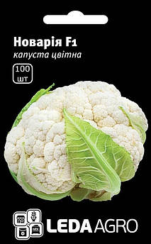 Насіння Капусти цвітної Новарія F1 100 шт (Leda Agro), середньостиглий гібрид, висока продуктивність навіть за поганих умов
