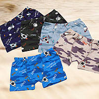 Труси боксери хлопкові для хлопчика 5 штук в упаковці  Розмір 92-98 104-110 116-122