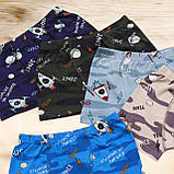 Труси боксери хлопкові для хлопчика 5 штук в упаковці  Розмір 92-98 104-110 116-122, фото 2