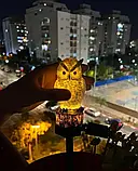 Набір для дому/затишку/природа, фото 3