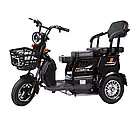 Електроскутер триколісний FORTE Family-WN800 800 Вт, фото 3