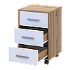 Тумба Doros Т3 Дуб Евок/Білий ДСП 43х42х66.4 (41901068), фото 4
