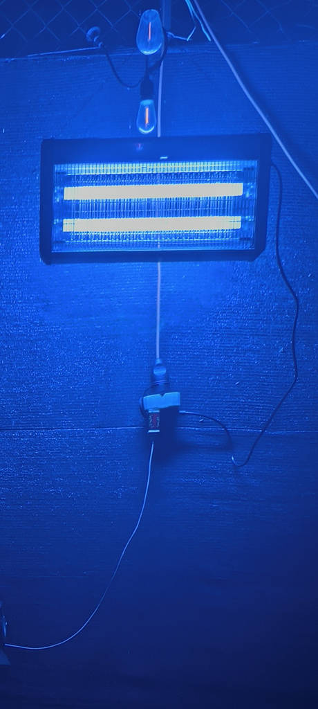 Электрическая лампа уничтожитель насекомых Maltec MasterKiller 30 Вт 3800 В (SHiz16686) - фото покупателей 1