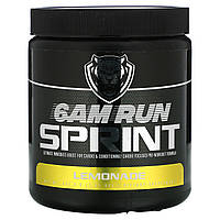 6AM Run, Sprint Pre-Workout, лимонад, 217,5 г (7,67 унції) Дніпр