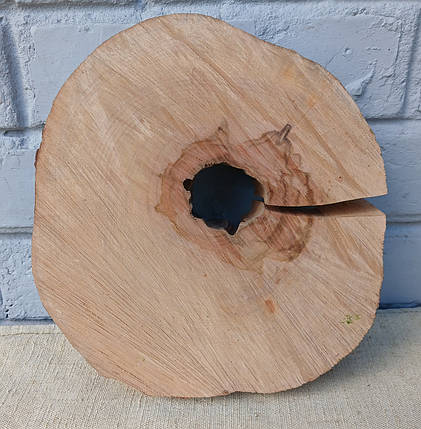 Зріз дерева, заготовка для творчості, 230х220мм., фото 1