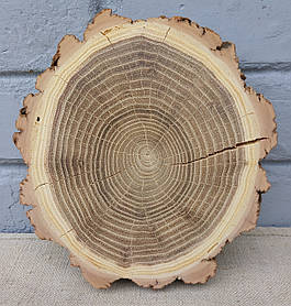 Зріз дерева, шліфований для декору,заливки епоксидною смолою ( d 190х180 мм)
