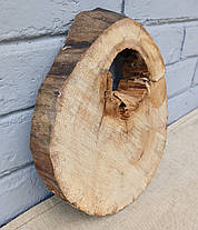 Зріз натурального дерева для творчості та рукоділля 280х210мм, фото 2