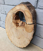 Зріз натурального дерева для творчості та рукоділля 280х210мм, фото 3