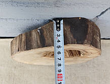 Зріз натурального дерева для творчості та рукоділля 280х210мм, фото 4