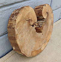 Зріз сухого дерева для декору приміщень. 170х160х30мм., фото 2