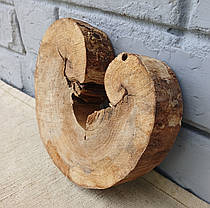 Зріз сухого дерева для декору приміщень. 170х160х30мм., фото 3