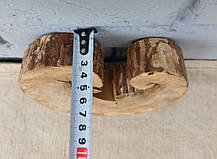 Зріз сухого дерева для декору приміщень. 170х160х30мм., фото 4