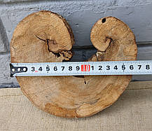 Зріз сухого дерева для декору приміщень. 170х160х30мм., фото 5