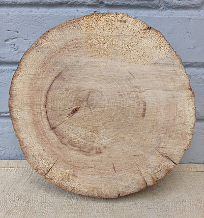 Сляб дерев'яний, не оброблений - заготовка для творчості, d 230х220х40мм., фото 1