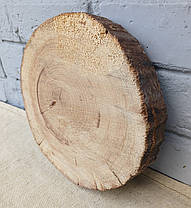 Сляб дерев'яний, не оброблений - заготовка для творчості, d 230х220х40мм., фото 2