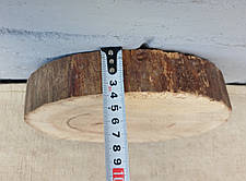 Сляб дерев'яний, не оброблений - заготовка для творчості, d 230х220х40мм., фото 3