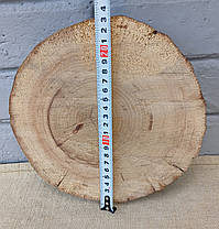 Сляб дерев'яний, не оброблений - заготовка для творчості, d 230х220х40мм., фото 4