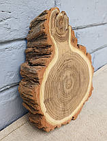 Зріз дерева для декору та інтер'єру кімнат d 210х160 мм., фото 2