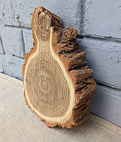 Зріз дерева для декору та інтер'єру кімнат d 210х160 мм., фото 3