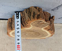 Зріз дерева для декору та інтер'єру кімнат d 210х160 мм., фото 5