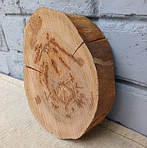 Зріз дерева для декору, не шліфований (d180х140х40мм), фото 3