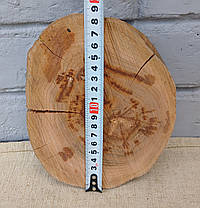 Зріз дерева для декору, не шліфований (d180х140х40мм), фото 5